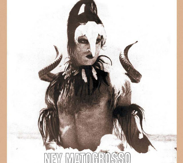 O primeiro vôo solo do pássaro Ney