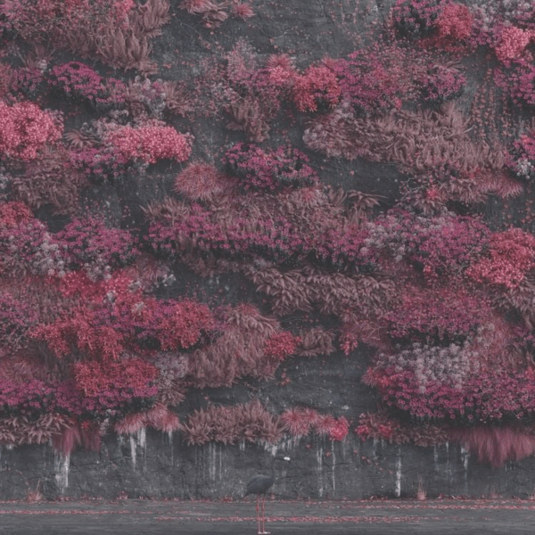 Even in Arcadia do Sleep Token tem mágica sem truque nenhum