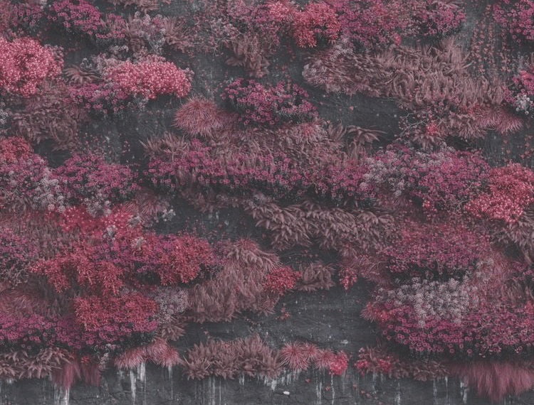 Even in Arcadia do Sleep Token tem mágica sem truque nenhum