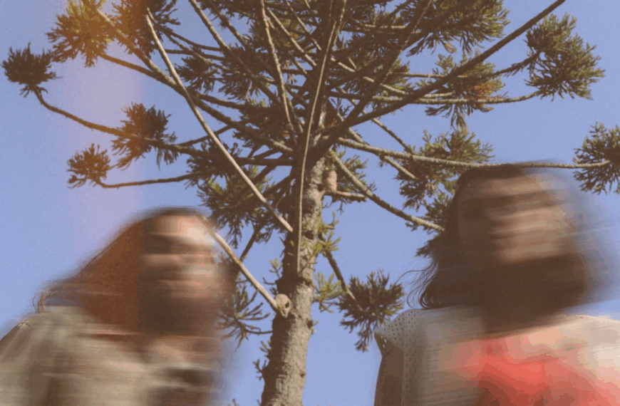 Sã Verdade do 43duo é Rock brasileiro com textura e psicodelia