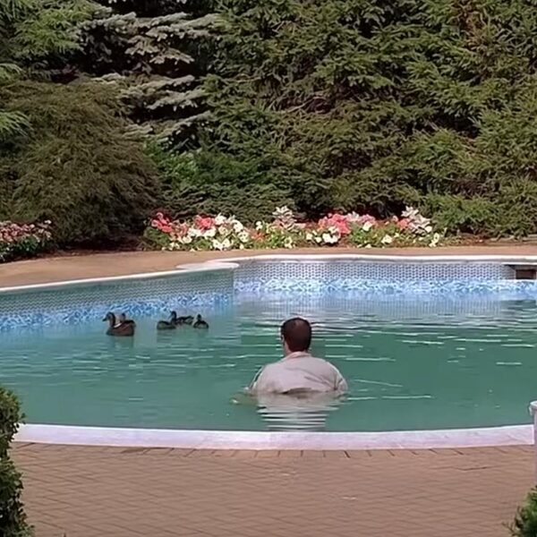 “Em algum lugar essas palavras existem”