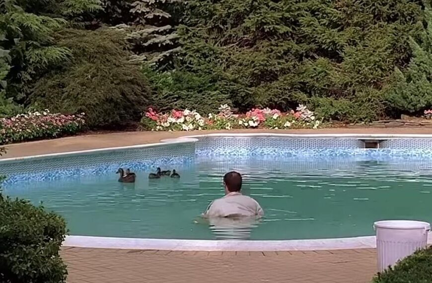 “Em algum lugar essas palavras existem”