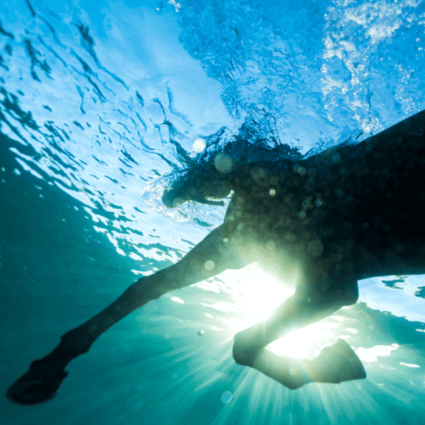 O sonho apenas começou