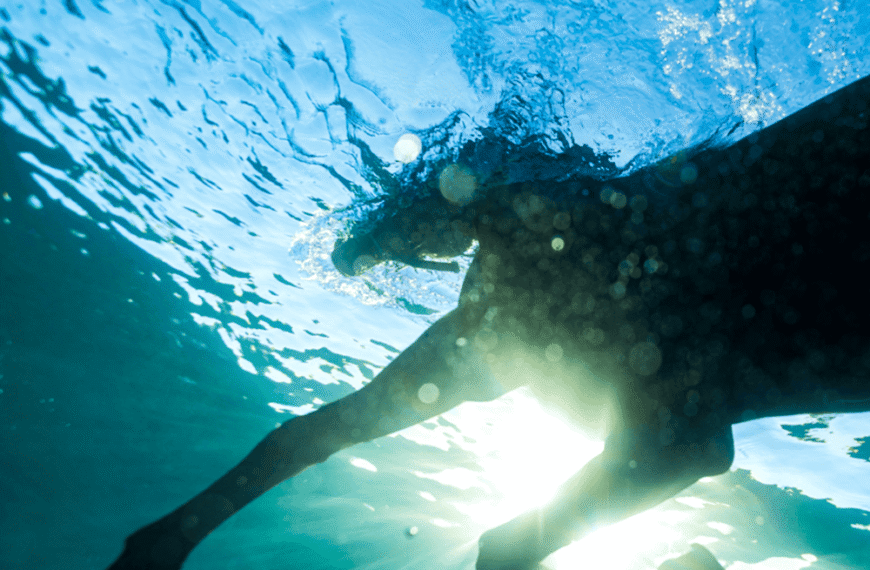 O sonho apenas começou