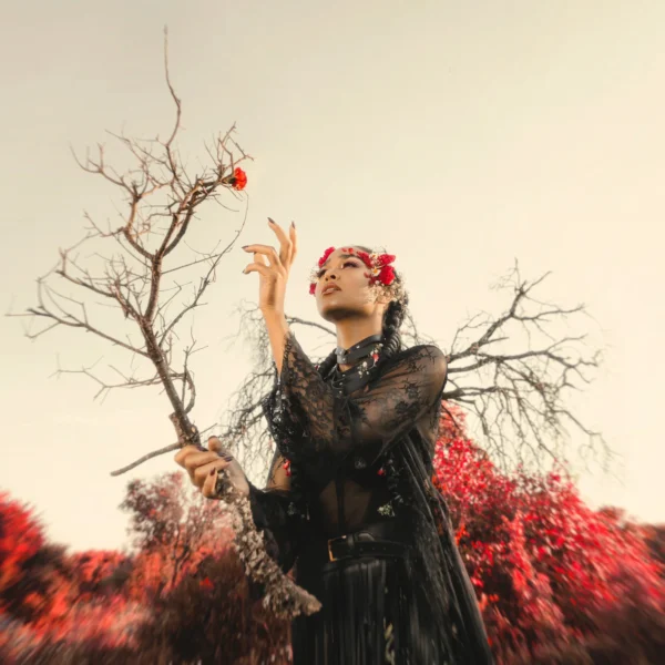 Debute is on the table