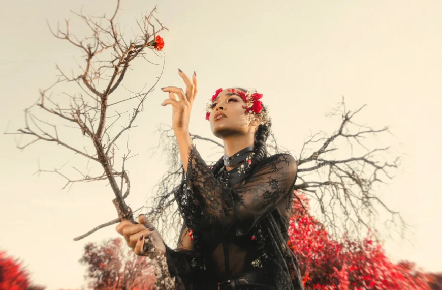 Debute is on the table