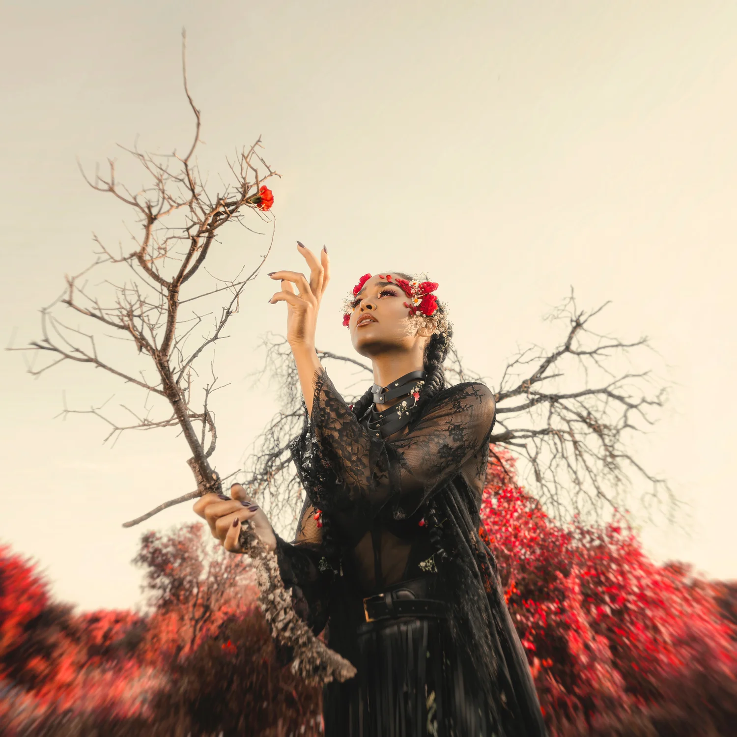 Debute is on the table