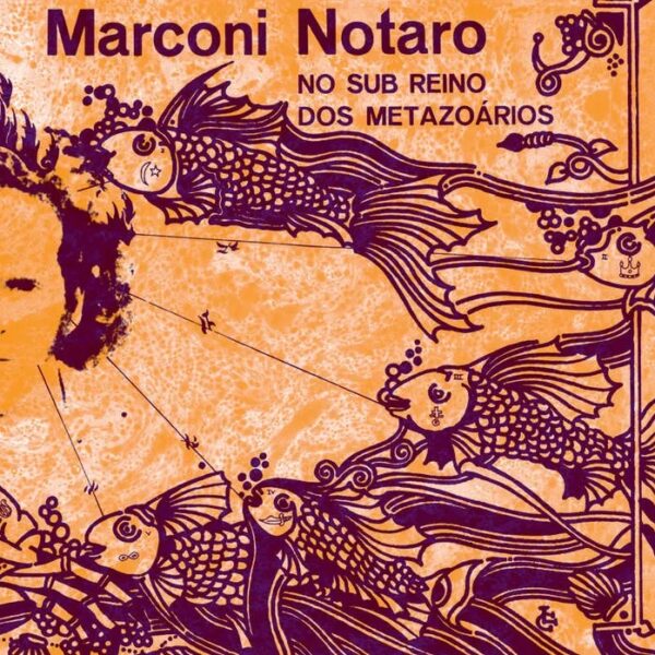Adentrando um sub-reino