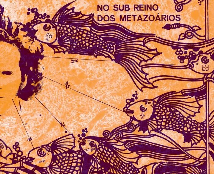 Adentrando um sub-reino