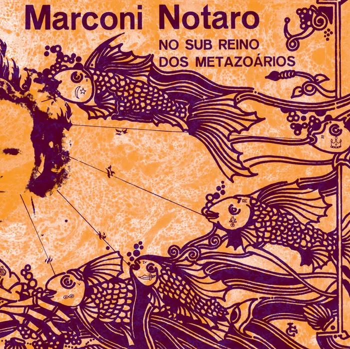 Adentrando um sub-reino